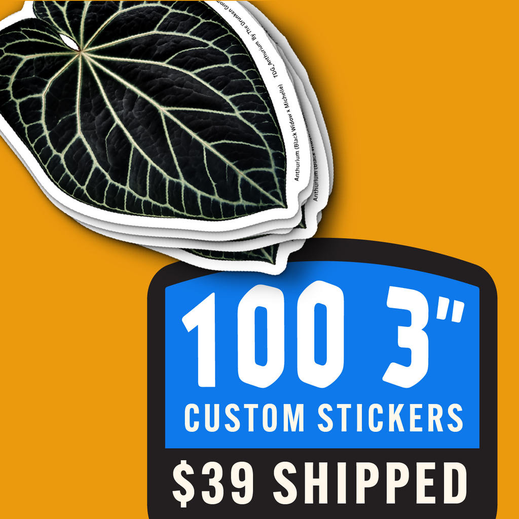 100 Custom 3″ Vinyl Stickers – $39